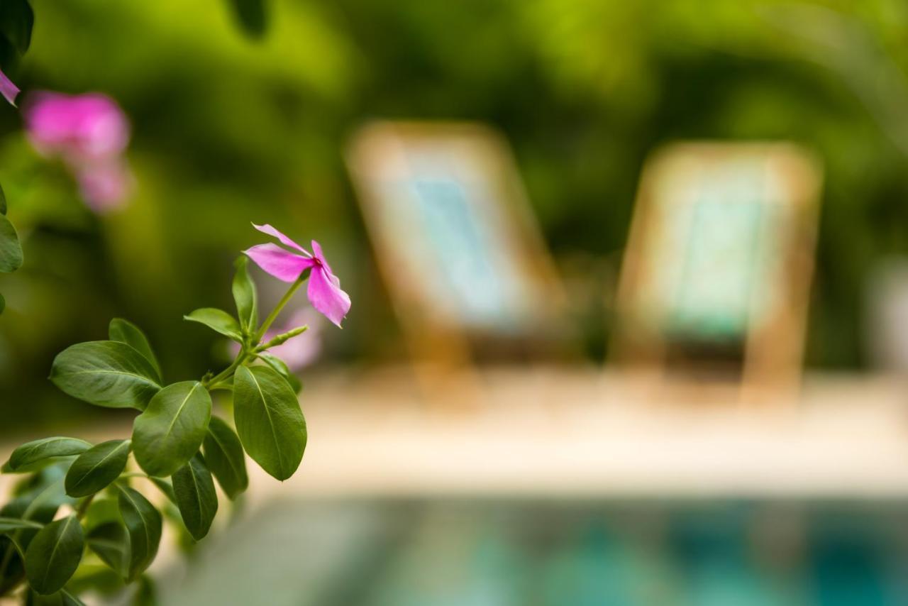 מלון Zen Garden Tamarindo - Adults Only מראה חיצוני תמונה